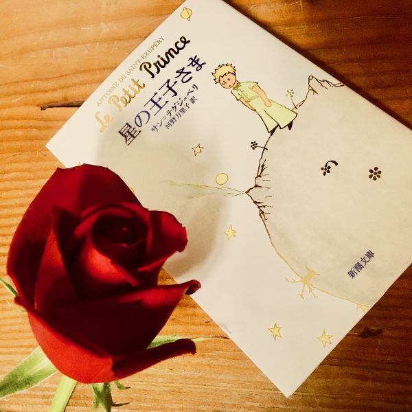 「きみのバラが、この世に一輪だけだってことがわかるから。」