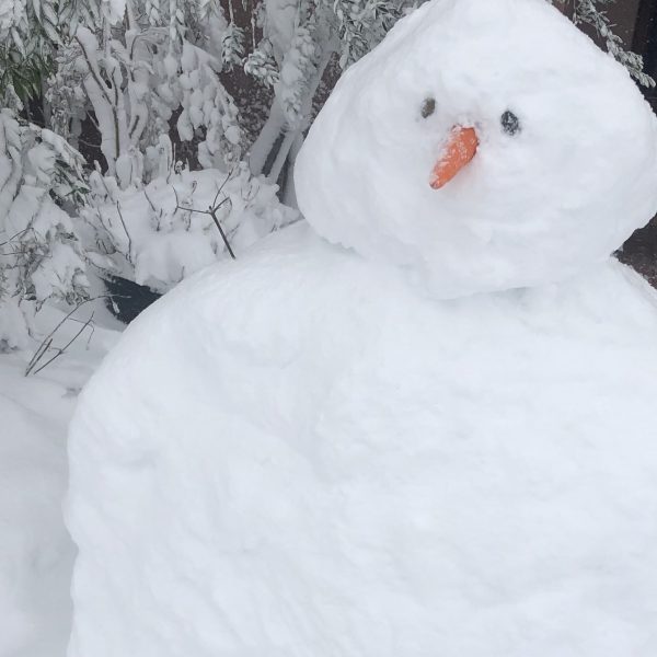 臨時のお知らせ